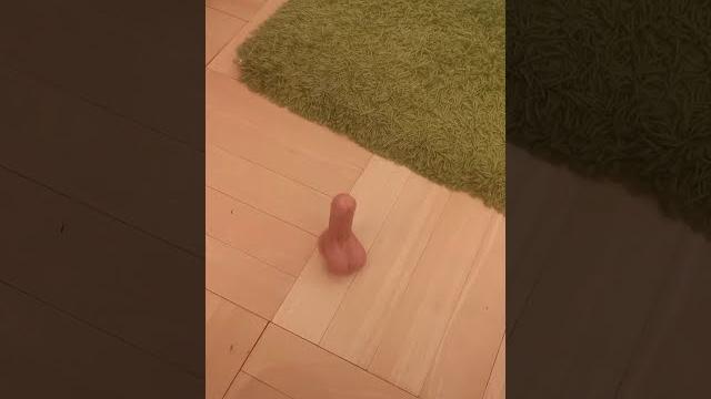 Human vs dildo 2 Human vs dildo 2