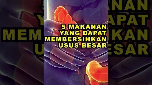 5 makanan yang dapat membersihkan usus besar #ekoazis 5 makanan yang dapat membersihkan usus besar #ekoazis