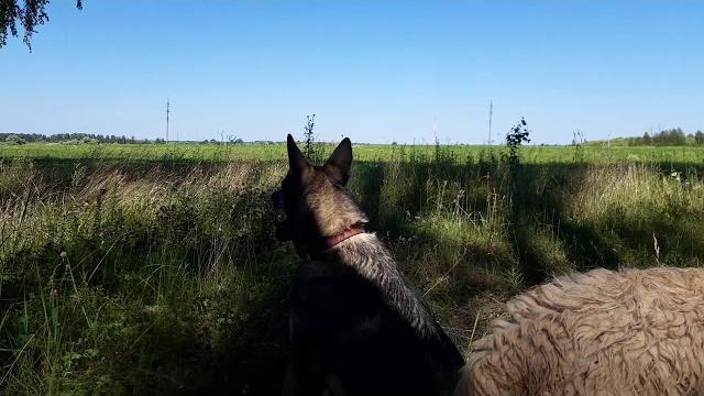 Мудрые старые души любят сложные задачи. Мудрые старые души любят сложные задачи.
