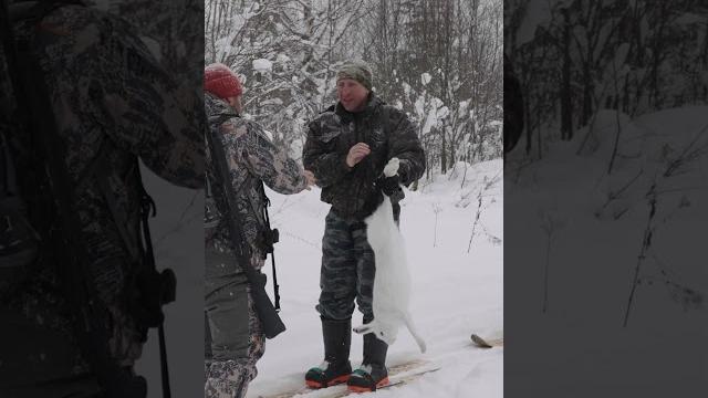 Вот и добыча Вот и добыча
