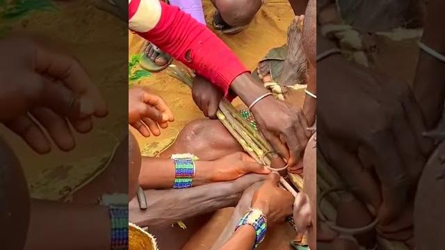 Before the bull jumping ritual #africantribes #shortvideo #short Before the bull jumping ritual #africantribes #shortvideo #short