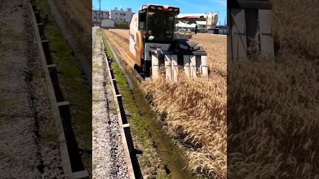 Iseki combine harvester #iseki #shorts #harvester Iseki combine harvester #iseki #shorts #harvester