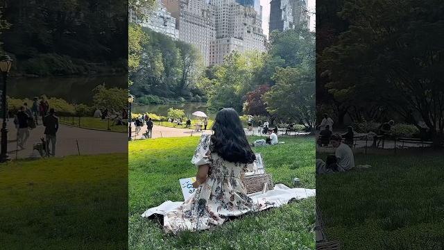 Picnic dates #picnic #dateideas #aesthetic #summer #lifestyle #nyc #painting #shorts #viral Picnic dates #picnic #dateideas #aesthetic #summer #lifestyle #nyc #painting #shorts #viral