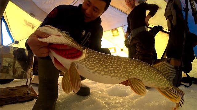 Рыбаки в культурном шоке от местной рыбы. Рыбаки в культурном шоке от местной рыбы.
