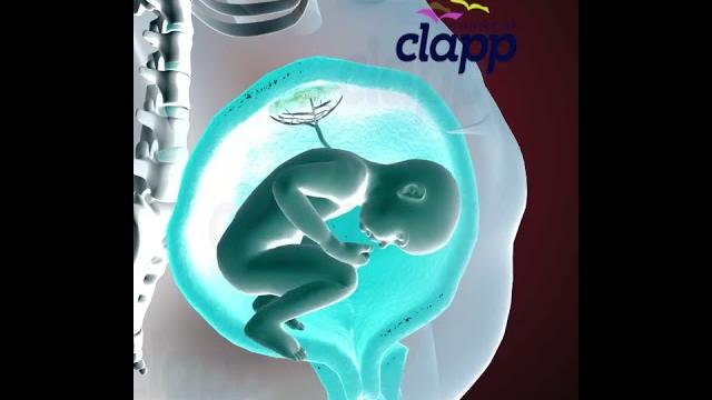 Precious moments of baby inside the womb (3d animation) Precious moments of baby inside the womb (3d animation)