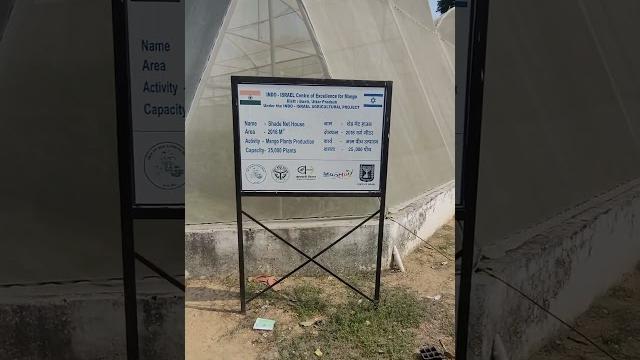 Indo-isreal center of excellence for mango #mango mango #vlogs #agriculture #trending #ibpssoafo Indo-isreal center of excellence for mango #mango mango #vlogs #agriculture #trending #ibpssoafo