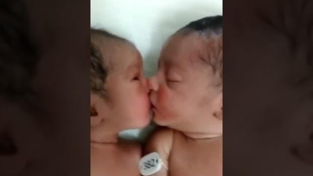 Kissing star, big player #kiss #baby #love Kissing star, big player #kiss #baby #love