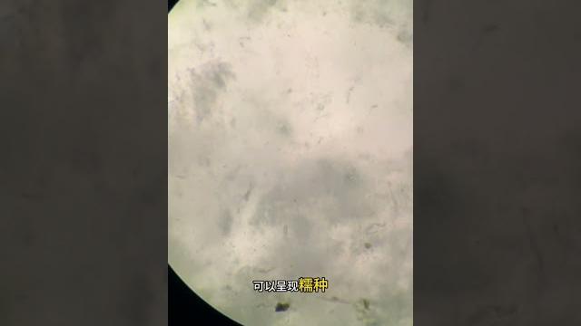 驚天秘密大曝光,原來這玩意兒背後藏著這麼多讓人笑到噴飯的故事。翡翠 珠寶直播 │ 翡翠 直播 │ 翡翠 │ 玉 翡翠戒面 │ 珠寶 翡翠 #翡翠直播 #翡翠 #珠宝 #珠寶 #翡翠珠寶 #shorts 驚天秘密大曝光,原來這玩意兒背後藏著這麼多讓人笑到噴飯的故事。翡翠 珠寶直播 │ 翡翠 直播 │ 翡翠 │ 玉 翡翠戒面 │ 珠寶 翡翠 #翡翠直播 #翡翠 #珠宝 #珠寶 #翡翠珠寶 #shorts