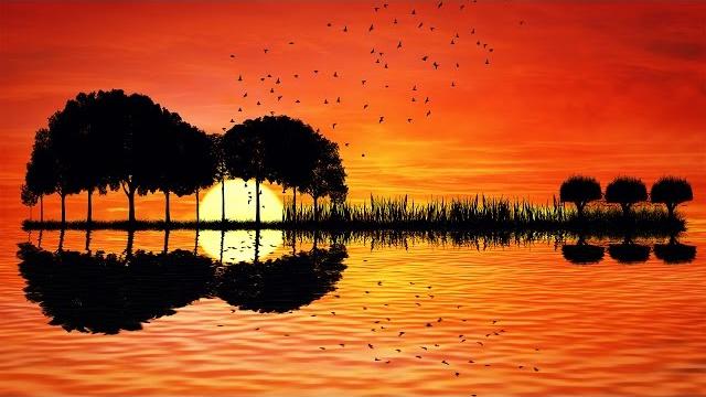 Relaxing guitar music - acoustic - calming music for stress relief, studying Relaxing guitar music - acoustic - calming music for stress relief, studying