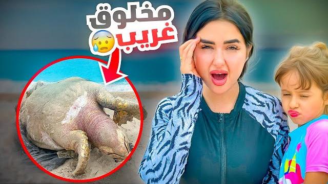 لقينا مخلوق مرعب في البحر عمره 100 سنه | انصدمنا من الي شفناه لقينا مخلوق مرعب في البحر عمره 100 سنه | انصدمنا من الي شفناه