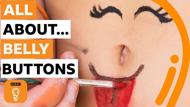 Why your belly button is amazing | bbc ideas Why your belly button is amazing | bbc ideas