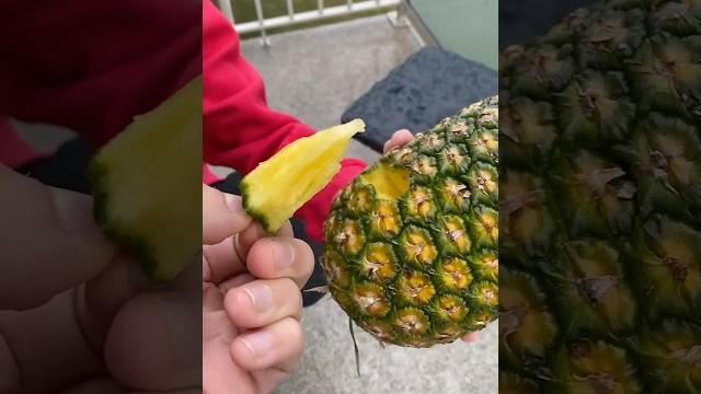 How to actually open a pineapple How to actually open a pineapple