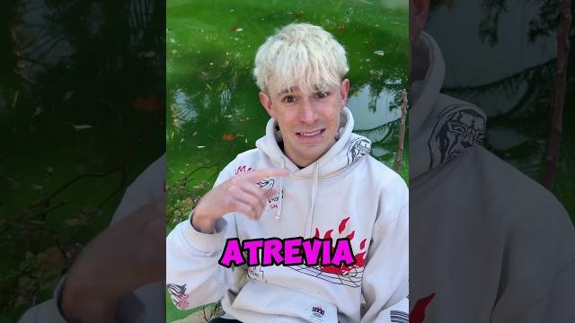 Algo me muerde en la piscina toxica! Algo me muerde en la piscina toxica!