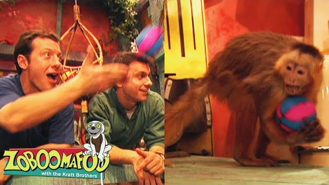 Fling | zoboomafoo - wildbrain | movies for kids Fling | zoboomafoo - wildbrain | movies for kids