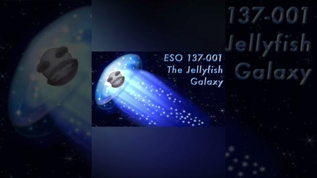 Meet the galaxies pmv Meet the galaxies pmv