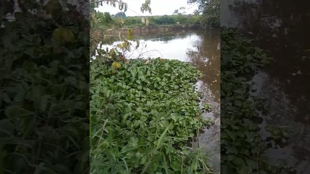 Lokasi mancing hot bget Lokasi mancing hot bget