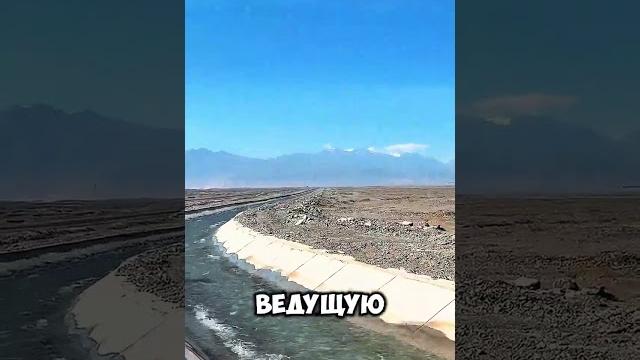 Добыча воды в пустыне Добыча воды в пустыне