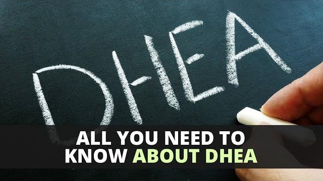 All you need to know about dhea All you need to know about dhea