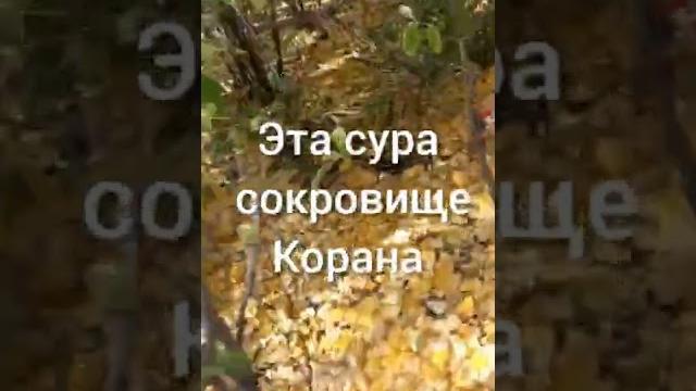 Сокровище корана,исцеляющая сура,обогащающая,защищающая. Сокровище корана,исцеляющая сура,обогащающая,защищающая.