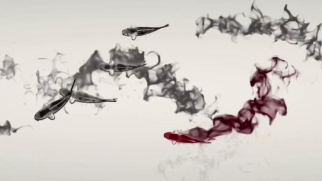 【玉面小嫣然】【古箏】《琴師》(作曲:音頻怪物).mp4 【玉面小嫣然】【古箏】《琴師》(作曲:音頻怪物).mp4