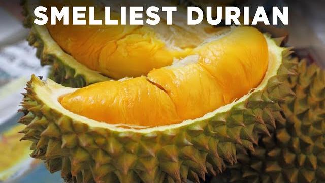 Tasting the world's smelliest fruit (durian) Tasting the world's smelliest fruit (durian)