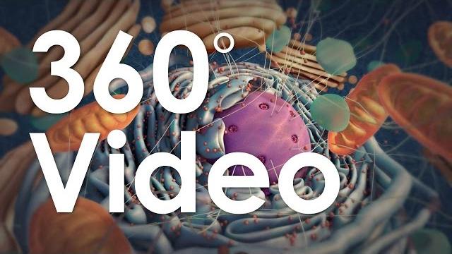 360° guided tour of the cell (demo) 360° guided tour of the cell (demo)