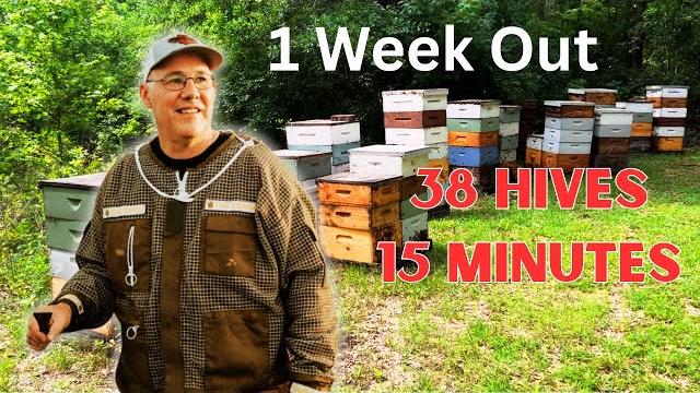 Is another record honey crop possible this year? Is another record honey crop possible this year?