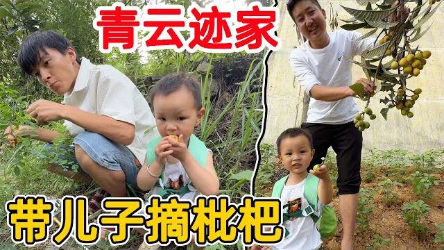 带着儿子去“青云迹” 大网红家摘枇杷,结果小雪不在家,李俊把电动车开翻了 带着儿子去“青云迹” 大网红家摘枇杷,结果小雪不在家,李俊把电动车开翻了