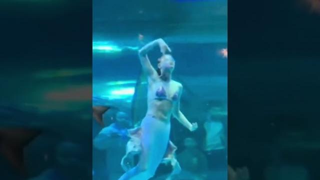 Giant fish attacks 'mermaid' performer Giant fish attacks 'mermaid' performer