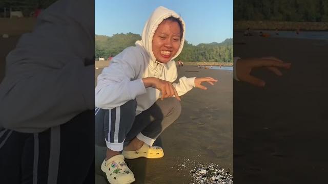 Garam ajaib bisa mengeluarkan ulat pantai #shortsviral #tiktok Garam ajaib bisa mengeluarkan ulat pantai #shortsviral #tiktok