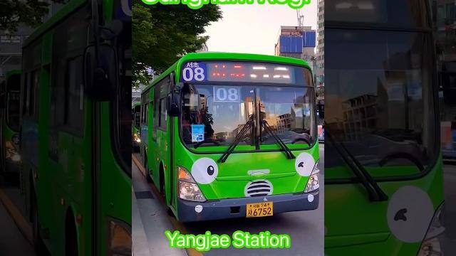Rogi #bus vs japan #shinkansen Rogi #bus vs japan #shinkansen