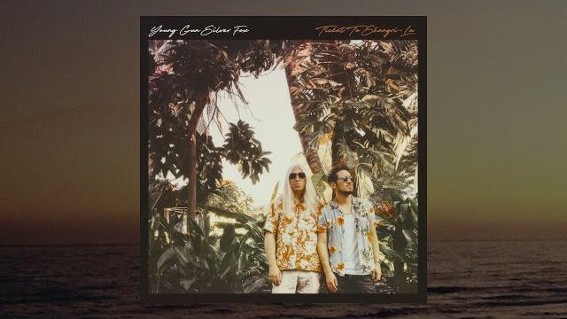 Young gun silver fox - lodestar Young gun silver fox - lodestar