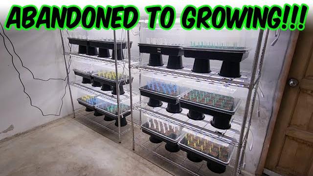 Abandoned greenhouse property gets started!!! Abandoned greenhouse property gets started!!!