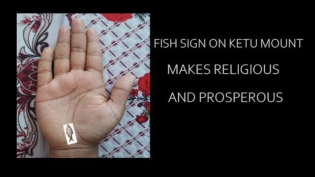 Fish sign on ketu makes religious and prosperous Fish sign on ketu makes religious and prosperous