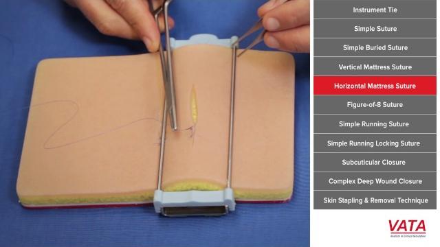 Suture techniques course video Suture techniques course video