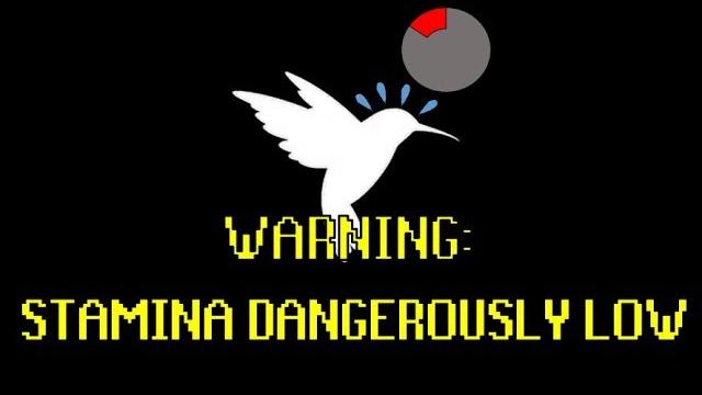 Top 5 worst animal designs Top 5 worst animal designs