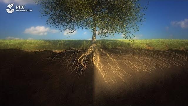 Phc film: soil is a living organism Phc film: soil is a living organism