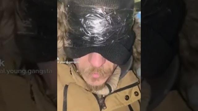Паляниця Паляниця