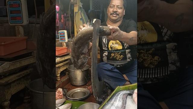 Amazing 17 kg giant mouth watering boal fish cutting in fish market #shorts #boal_fish #fish Amazing 17 kg giant mouth watering boal fish cutting in fish market #shorts #boal_fish #fish