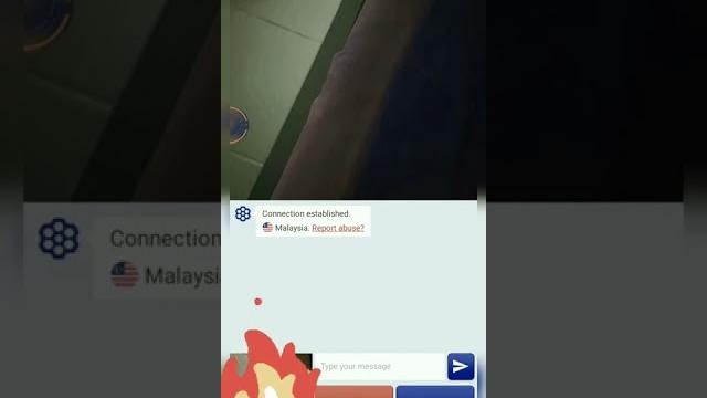 Reaksi ular kasur Reaksi ular kasur