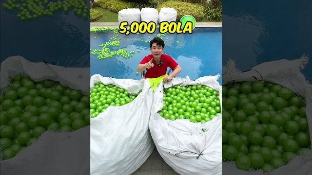 I filled the entire pool with balls! I filled the entire pool with balls!