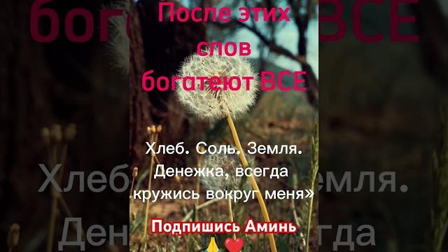 После этих слов богатеют всехлеб. соль. земля. #uzbekistan денежка, всегда кружись вокруг меня» После этих слов богатеют всехлеб. соль. земля. #uzbekistan денежка, всегда кружись вокруг меня»
