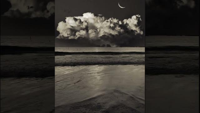 Black & white beautiful view #views #beautiful #viralvideo #viralvideo #viral #youtubeshorts Black & white beautiful view #views #beautiful #viralvideo #viralvideo #viral #youtubeshorts