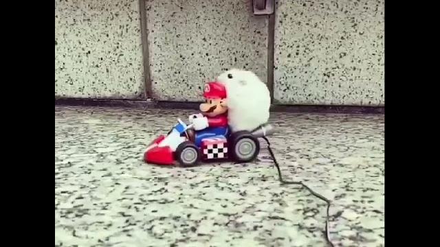 Mario hamster Mario hamster