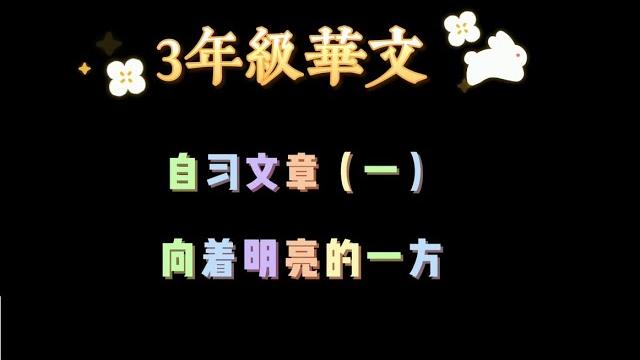 3年级 自习文章【一】《向着明亮的一方》 3年级 自习文章【一】《向着明亮的一方》