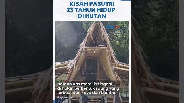 Viral kisah mantan pengusaha pilih hidup bersama keluarga di hutan selama 23 tahun, ini alasannya Viral kisah mantan pengusaha pilih hidup bersama keluarga di hutan selama 23 tahun, ini alasannya