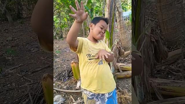 Preman pargoy #preman #pargoy #tante Preman pargoy #preman #pargoy #tante