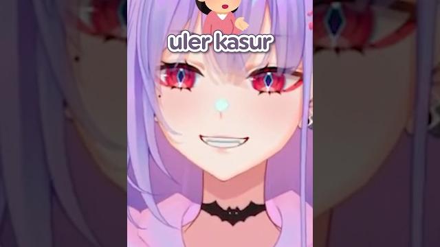Miti dengan misteri ular kasur Miti dengan misteri ular kasur