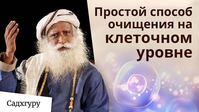 Интервальное голодание поможет вам очистить карму и избавиться от хронических заболеваний Интервальное голодание поможет вам очистить карму и избавиться от хронических заболеваний