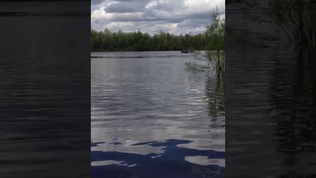 2 мотора гибрида по 6 л.с на лодке казанка 2 мотора гибрида по 6 л.с на лодке казанка